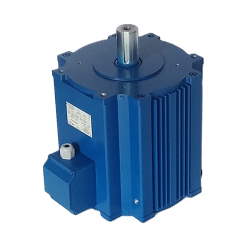 Induction Motor
